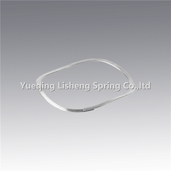 Wholesale Drum Locking Ring Clamps - single turn overlap wave spring – Lisheng Spring