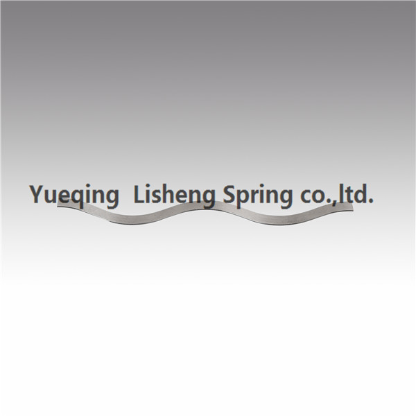 Quality Inspection for Double Layer Seal Retaining Ring - Linear wave springs – Lisheng Spring