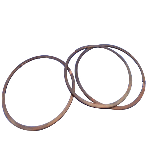 » Personlized Products Wave Disc Spring - Double -Turn laminar sealing rings combined – Lisheng Spring detail pictures