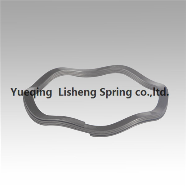 Europe style for Sst Bearings Single Turn Wave Spring For Motorbike - Nested Wave Springs – Lisheng Spring